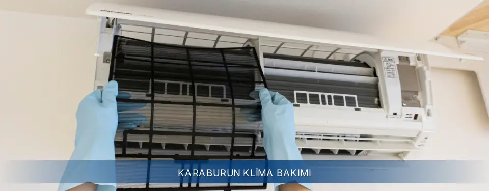Karaburun İlçemi Electrolux Klima Bakımı
