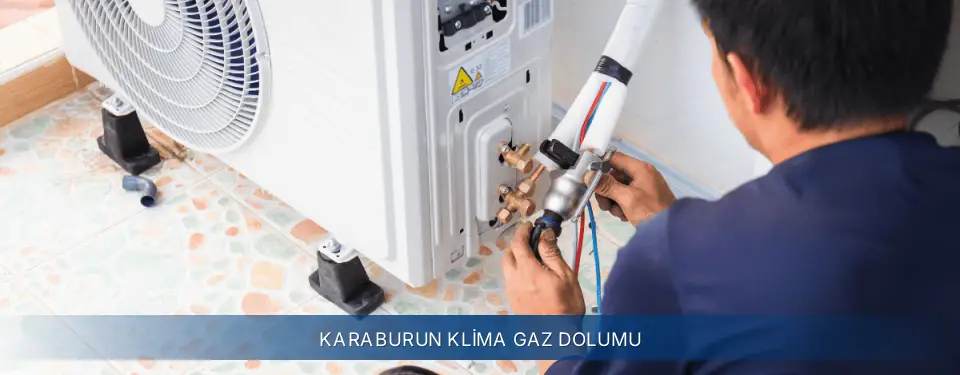 Karaburun İlçemi Electrolux Klima Gaz Dolumu