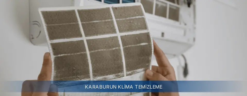 Karaburun İlçemi Electrolux Klima Temizleme